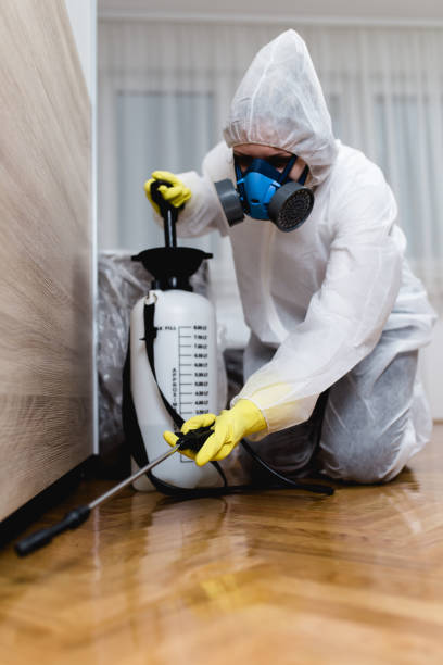 Best Indoor Pest Control  in Coats, NC